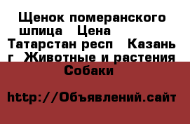 Щенок померанского шпица › Цена ­ 15 000 - Татарстан респ., Казань г. Животные и растения » Собаки   